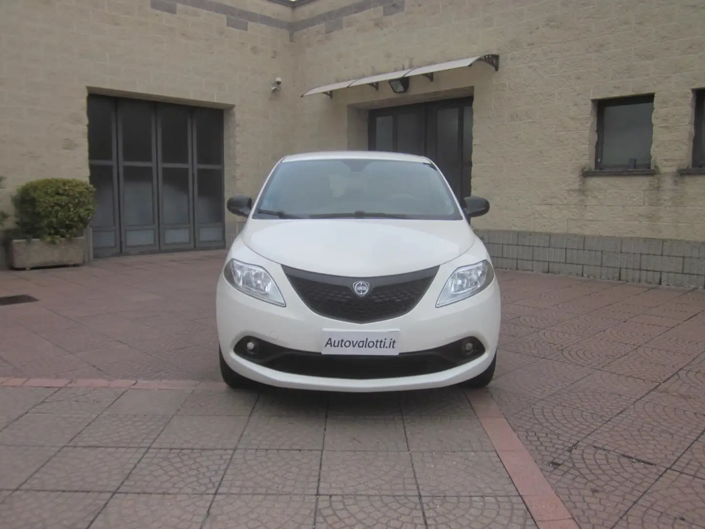 Lancia Ypsilon 1.2 69 CV GPL 5 posti Elefantino Blu Bianco - 2