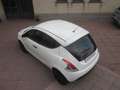 Lancia Ypsilon 1.2 69 CV GPL 5 posti Elefantino Blu Bianco - thumbnail 10