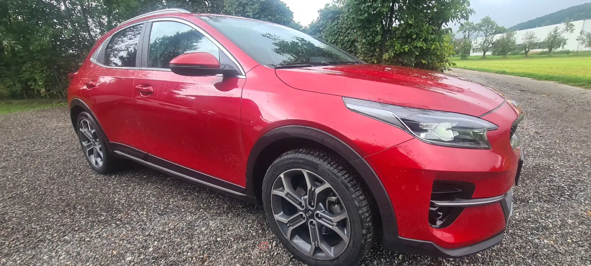 Kia XCeed Xceed 1,6 CRDI Aut. Gold Rot - 1