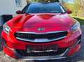 Kia XCeed Xceed 1,6 CRDI Aut. Gold Rot - thumbnail 7
