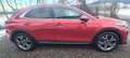 Kia XCeed Xceed 1,6 CRDI Aut. Gold Rot - thumbnail 5