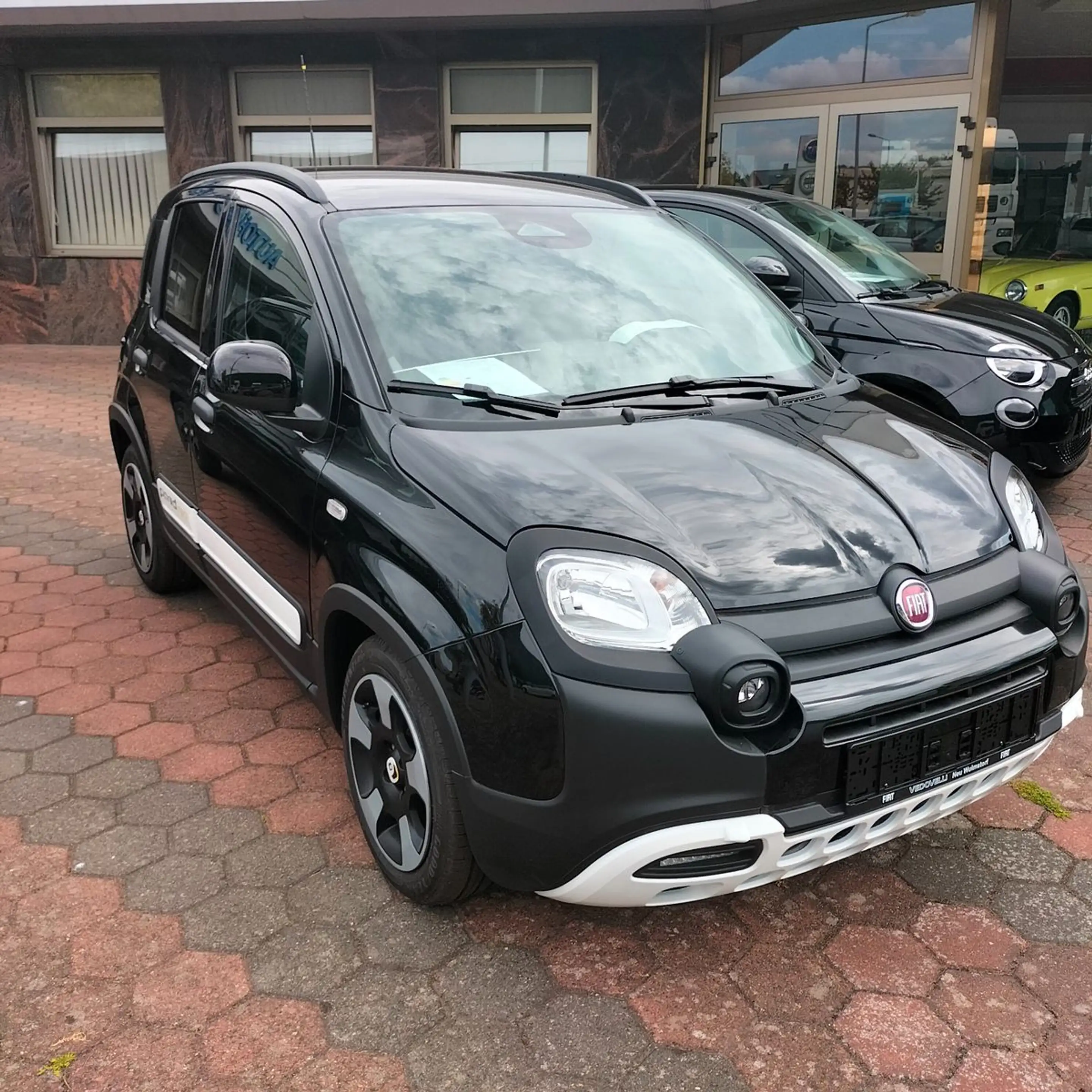 Fiat New Panda /Pandina/Panda Hybrid — photo 2