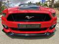 Ford Mustang Convertible 5.0 Ti-VCT GT Aut. Rouge - thumbnail 1