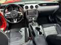 Ford Mustang Convertible 5.0 Ti-VCT GT Aut. Rouge - thumbnail 9
