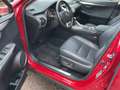 Lexus NX 300 h Executive Line Navi, Panoramadach Red - thumbnail 8