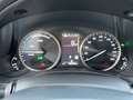 Lexus NX 300 h Executive Line Navi, Panoramadach Rot - thumbnail 17