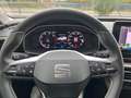 SEAT Leon Leon IV 2020 2.0 tdi Xcellence 115cv Noir - thumbnail 16