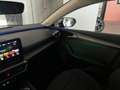 SEAT Leon Leon IV 2020 2.0 tdi Xcellence 115cv Noir - thumbnail 25