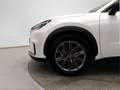 Lexus LBX 1.5 136cv HEV Elegant+ - thumbnail 16