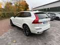 Volvo XC60 B4 AWD ULTIMATE DARK+PANO+PILOT+LUFTFWRK+ Blanc - thumbnail 7