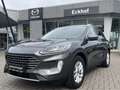 Ford Kuga 2.0D (150 PS) M-Hybrid Titanium X Grau - thumbnail 1