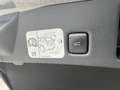 Ford Kuga 2.0D (150 PS) M-Hybrid Titanium X Grau - thumbnail 15