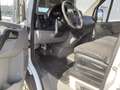 Mercedes-Benz Sprinter Sprinter Oberaigner Allrad 4x4 Klima Untersetzung Weiß - thumbnail 12