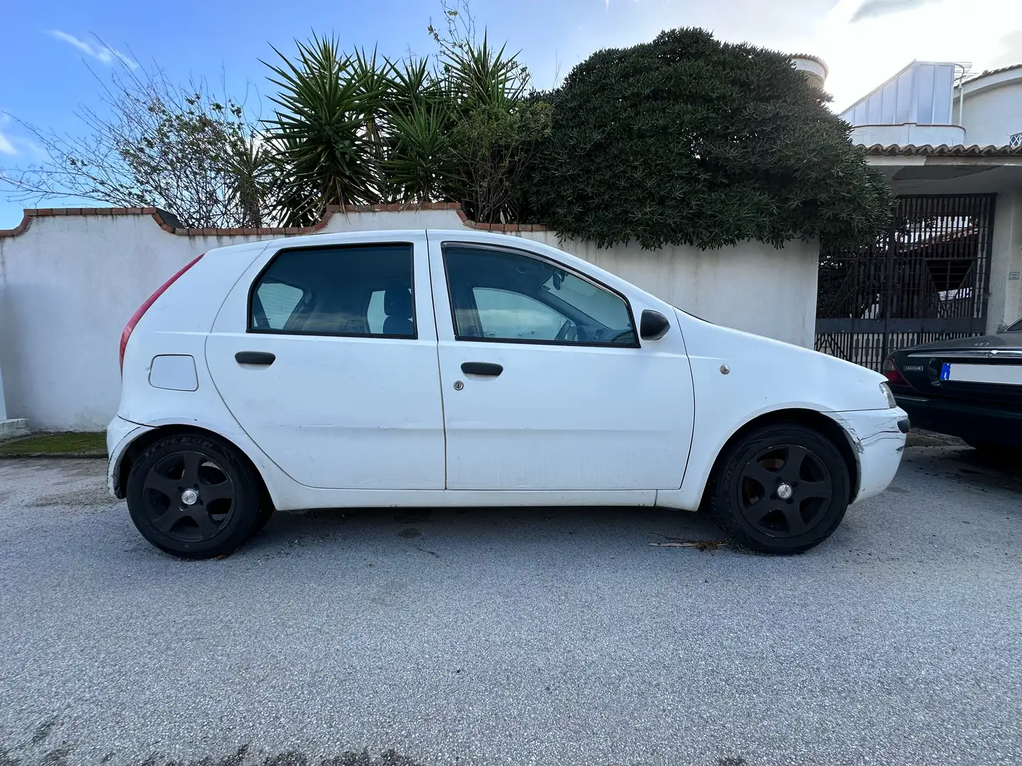Fiat Punto Punto 5p 1.2 ELX Bianco - 2