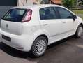 Fiat Punto Punto 1,2 69 Lounge Lounge Weiß - thumbnail 3