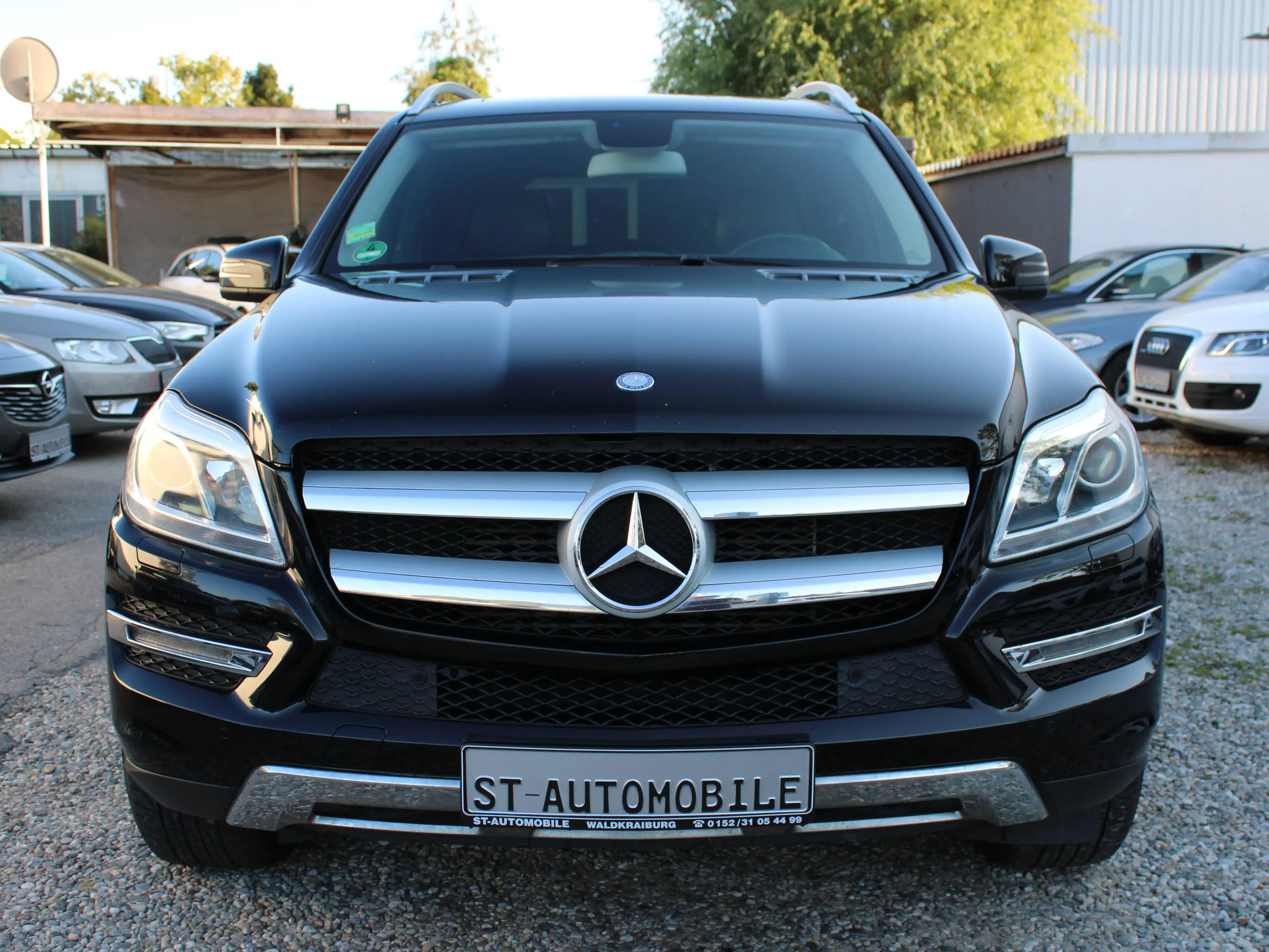Mercedes-Benz GL 350 GL 350 BlueTec 4Matic (166.824) — photo 2