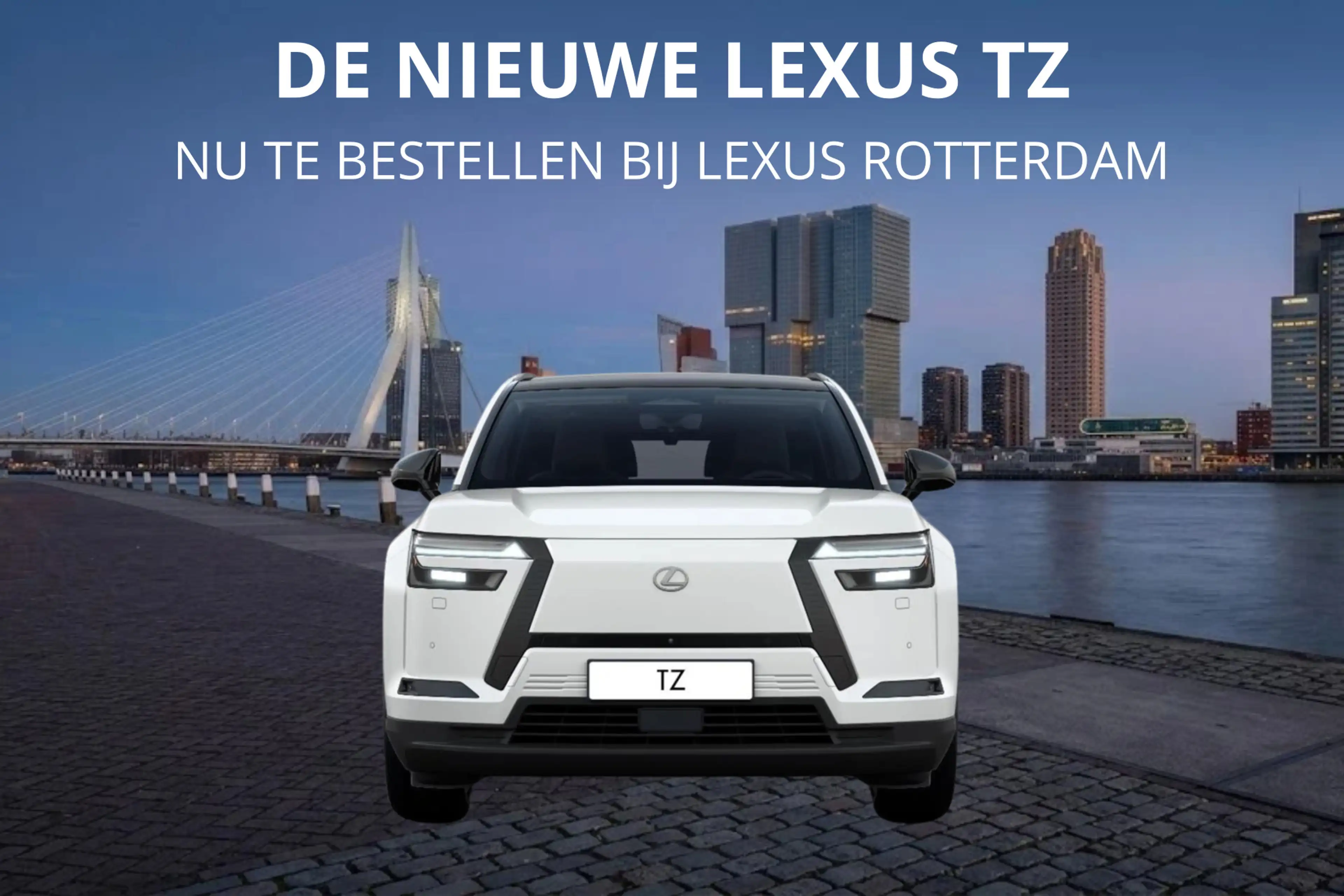 Lexus Others TZ 550e President Line 95,8 kWh | Mark Levinson | — photo 8