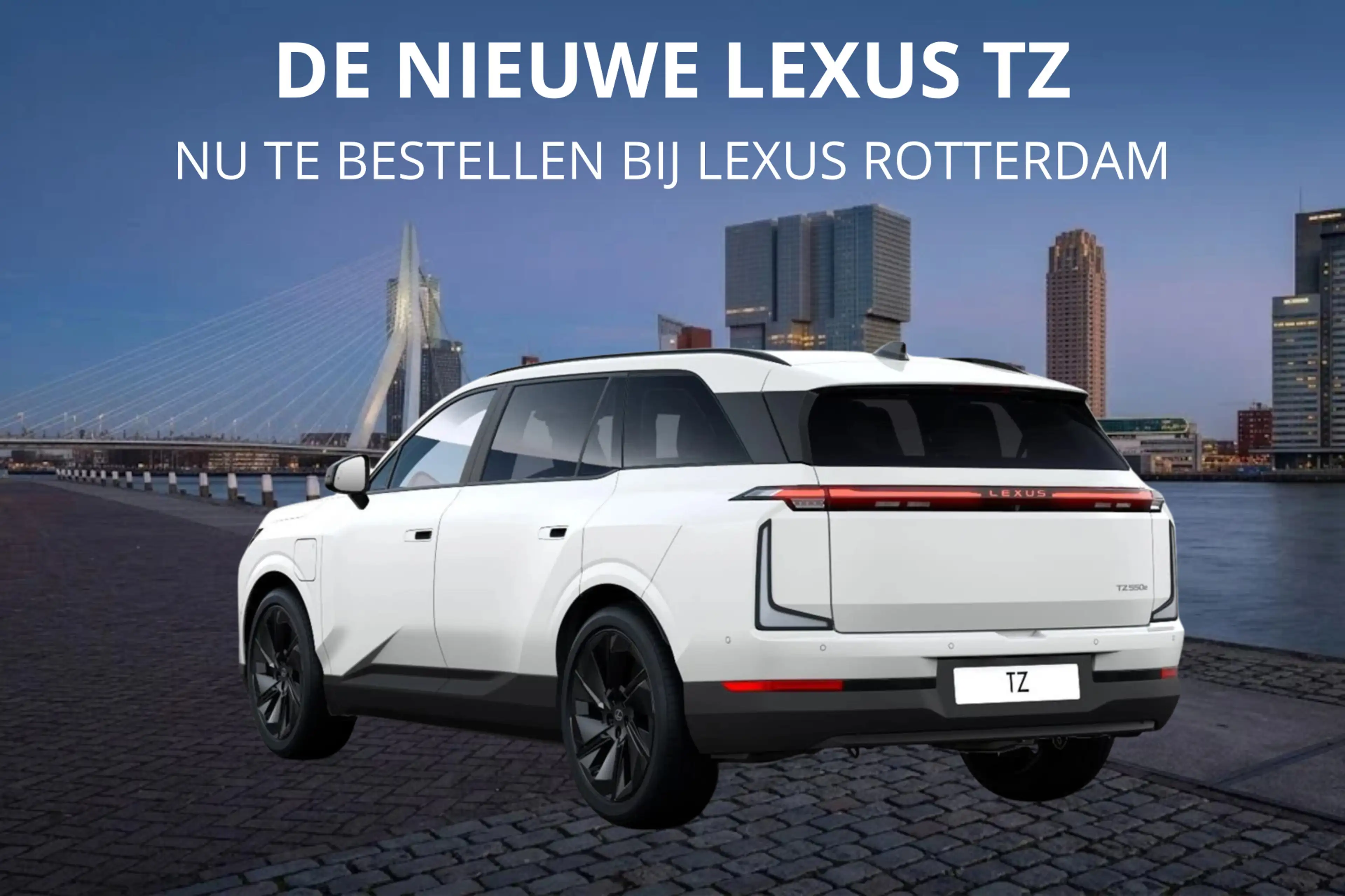 Lexus Others TZ 550e President Line 95,8 kWh | Mark Levinson | — photo 3