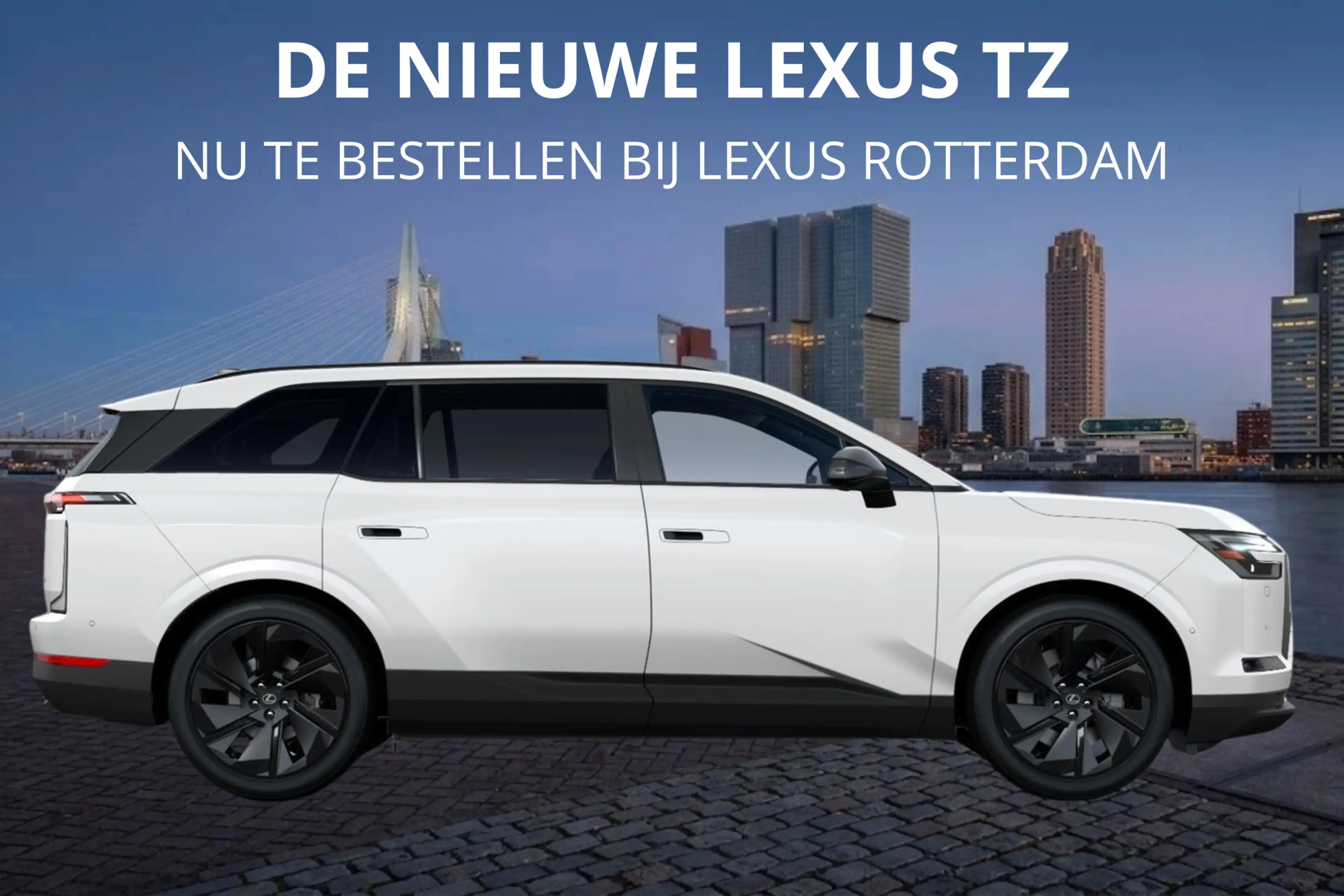 Lexus Others TZ 550e President Line 95,8 kWh | Mark Levinson | — photo 6