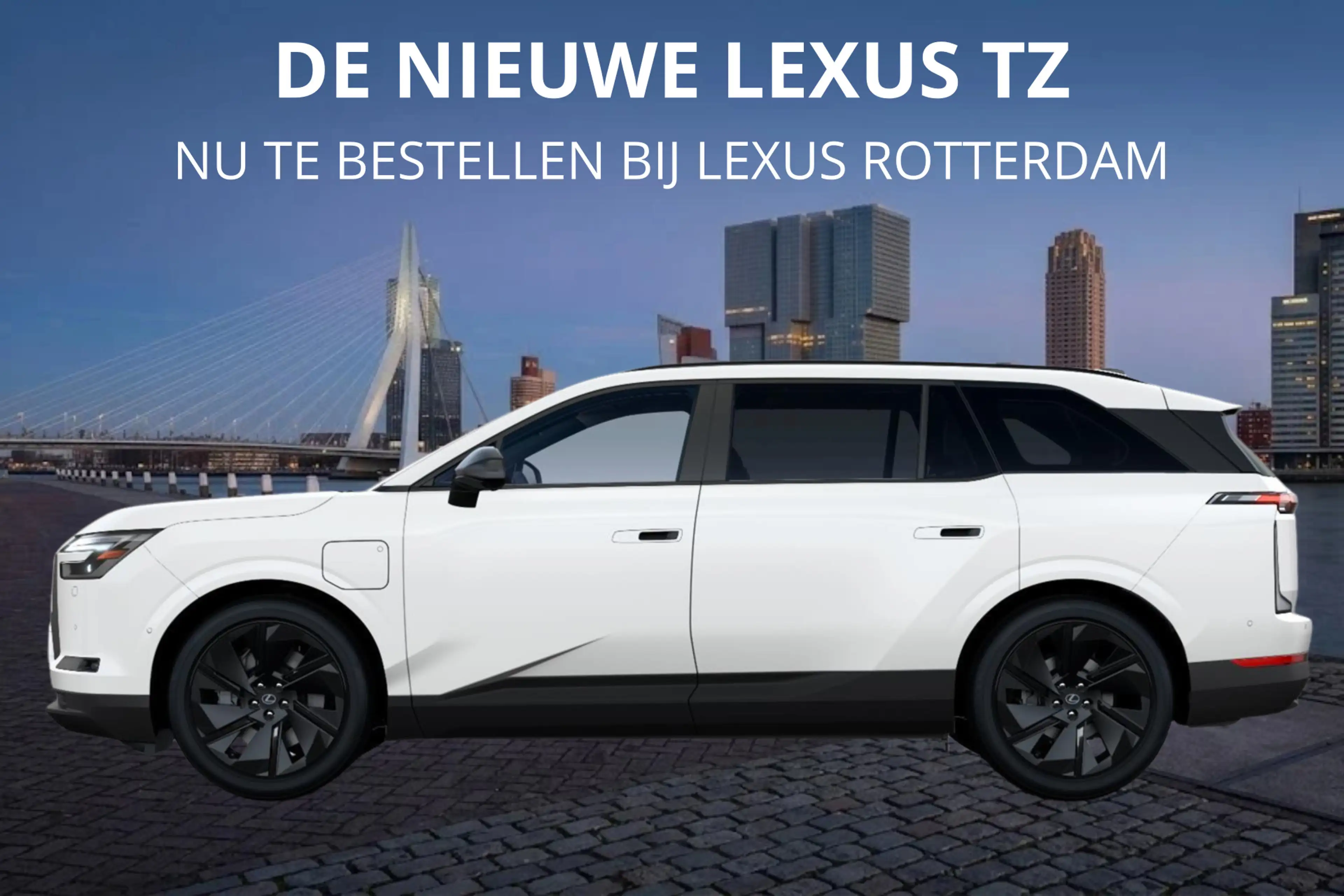 Lexus Others TZ 550e President Line 95,8 kWh | Mark Levinson | — photo 2