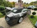 Ford Mustang 5,0 GT Leder"Navi"Xenon Gris - thumbnail 18