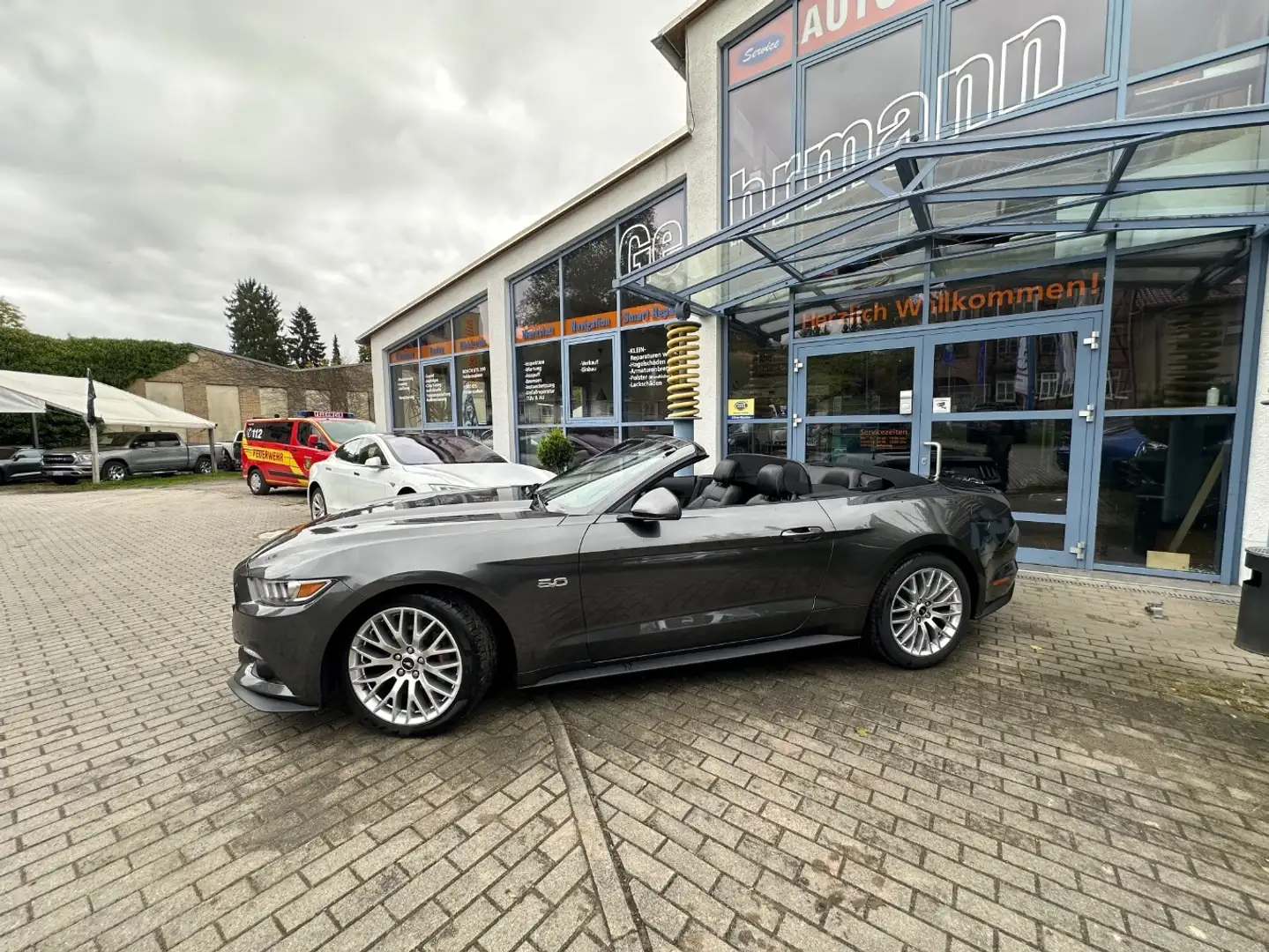 Ford Mustang 5,0 GT Leder"Navi"Xenon Gris - 2