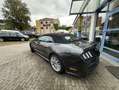 Ford Mustang 5,0 GT Leder"Navi"Xenon Gris - thumbnail 19