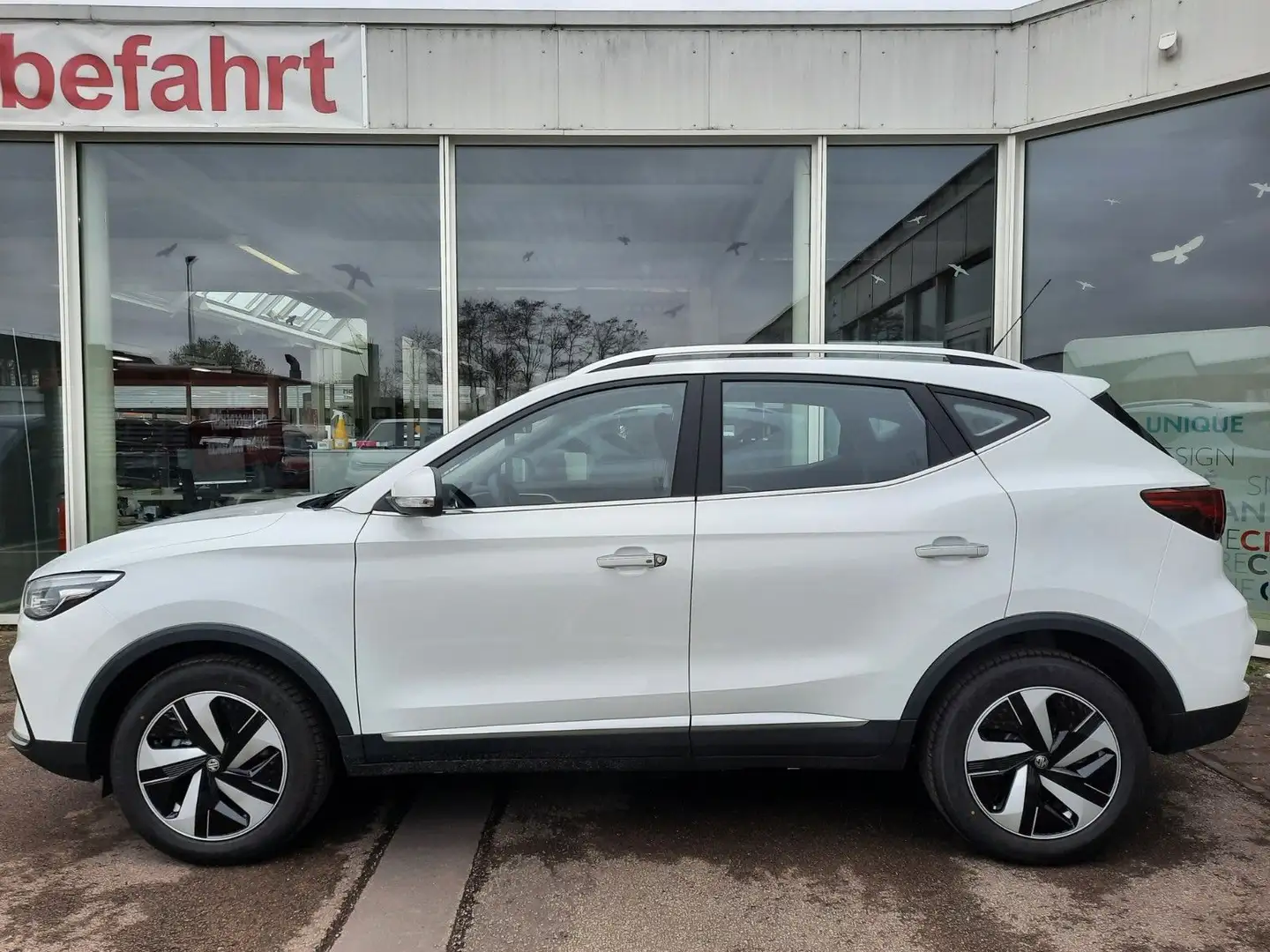 MG ZS EV 70 kWh Luxury - Navi-Glasdach-Kamera Weiß - 2