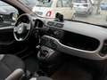 Fiat Panda 1.0 FireFly Hybrid City-Life + gpl Bianco - thumbnail 7