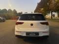 Volkswagen Golf Golf VIII 2020 2.0 tdi Life 150cv dsg Bianco - thumbnail 3