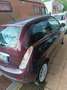 Lancia Ypsilon 1.2 69 CV 5 porte S&S Platinum Roşu - thumbnail 6