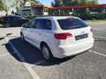 Audi A3 A3 SB Ambiente 1,6 TDI DPF Ambiente Weiß - thumbnail 3