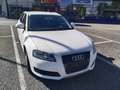 Audi A3 A3 SB Ambiente 1,6 TDI DPF Ambiente Weiß - thumbnail 2