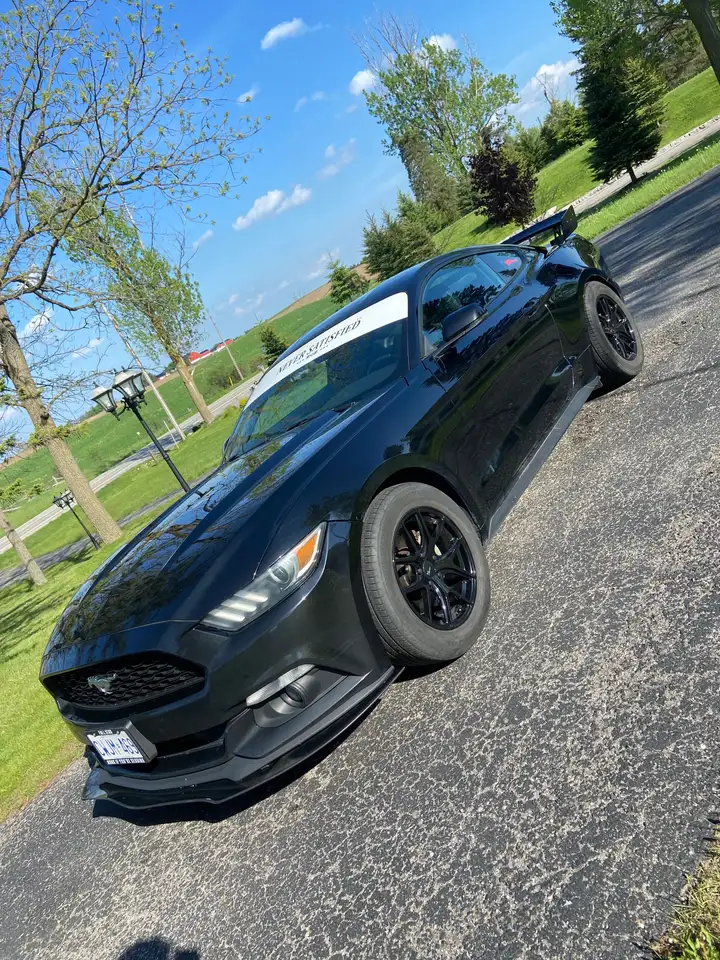 Ford Mustang снимка Ford Mustang