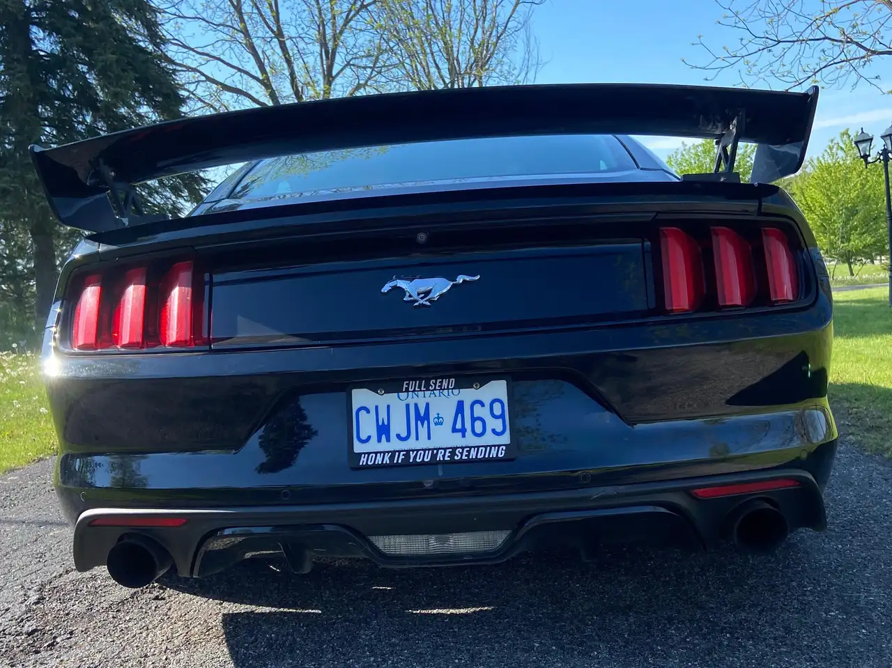 Ford Mustang снимка Ford Mustang