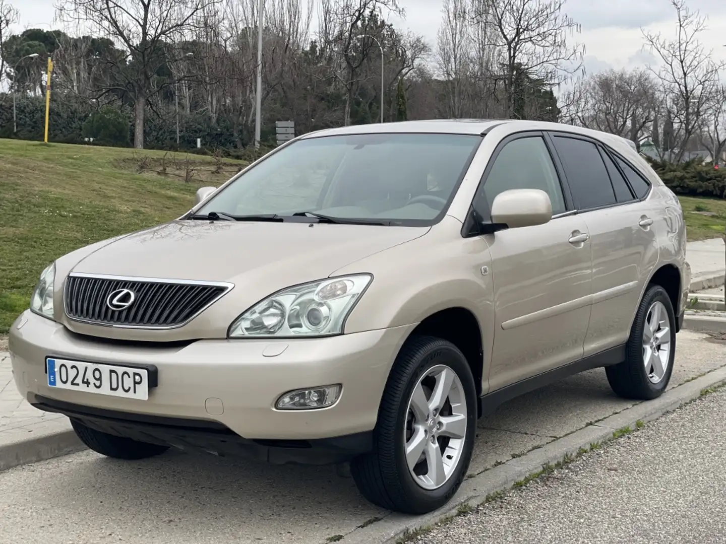Lexus RX 300 Luxury Aut. Argintiu - 1