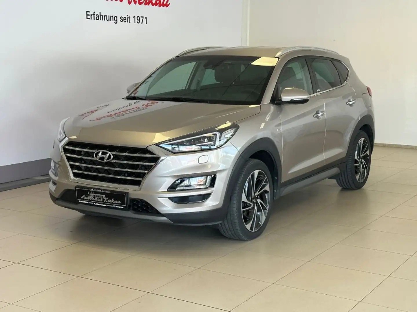 Hyundai TUCSON blue 2.0 CRDi 4WD Aut. Premium +LEDER+AHK+8Fach Gris - 2