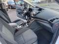 Ford C-Max Titanium Blanc - thumbnail 10