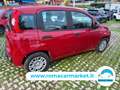 Fiat Panda 1.0 firefly hybrid Icon s&s 70cv 5p.ti Rosso - thumbnail 7