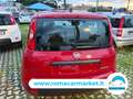 Fiat Panda 1.0 firefly hybrid Icon s&s 70cv 5p.ti Rosso - thumbnail 5