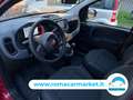 Fiat Panda 1.0 firefly hybrid Icon s&s 70cv 5p.ti Rosso - thumbnail 13