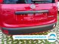 Fiat Panda 1.0 firefly hybrid Icon s&s 70cv 5p.ti Rosso - thumbnail 6
