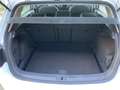Volkswagen Golf Golf VII  5p 1.6 tdi Executive 110cv dsg Bianco - thumbnail 14