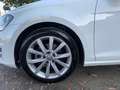 Volkswagen Golf Golf VII  5p 1.6 tdi Executive 110cv dsg Bianco - thumbnail 10