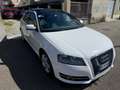 Audi A3 A3 II 2008 Sportback 1.6 tdi Ambition Blanco - thumbnail 3
