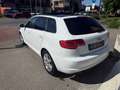 Audi A3 A3 II 2008 Sportback 1.6 tdi Ambition Blanco - thumbnail 2