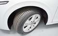 Volkswagen Golf 2.0TDI 85kW Blanco - thumbnail 48