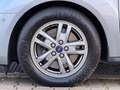Ford Grand Tourneo Connect Titanium 1.5 TDCi*PANO*KAM Grau - thumbnail 41