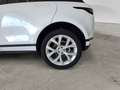 Land Rover Range Rover Evoque Range Rover Evoque 2.0D I4 163 CV AWD Auto SE Wit - thumbnail 9