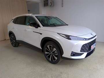 HEV Luxury *Lenkradheizung*